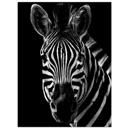 Poster – Närbild av en zebra i svart vit design 30x40 cm