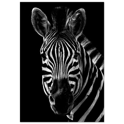 Poster – Närbild av en zebra i svart vit design 50x70 cm