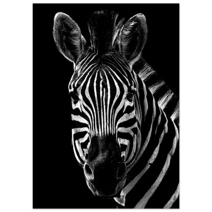 Poster – Närbild av en zebra i svart vit design 70x100 cm