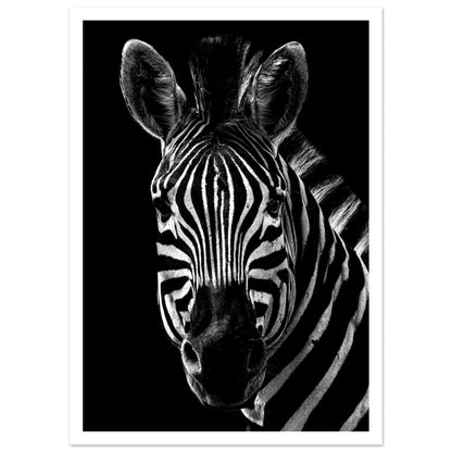 Poster – Närbild av en zebra i svart vit design med vit marginal 30x40 cm